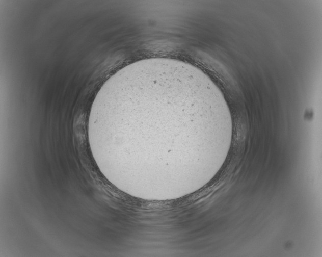 X0000116811346201001291553