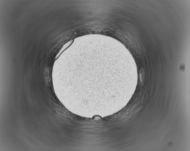 X0000116811347201001291553