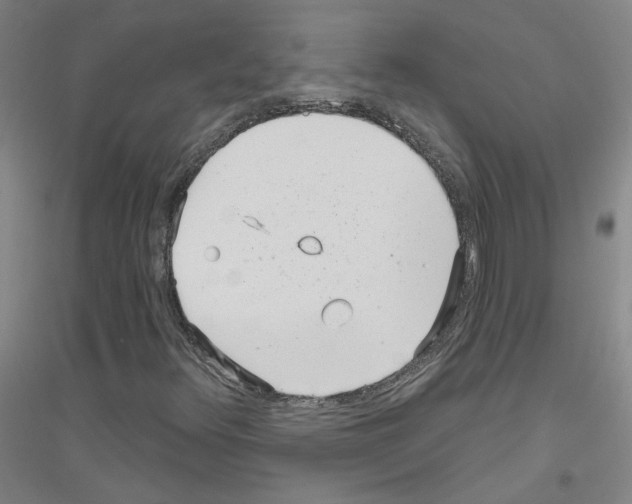 X0000116811348201001291552
