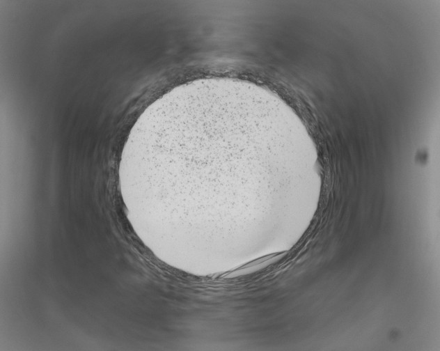 X0000116811349201001291552