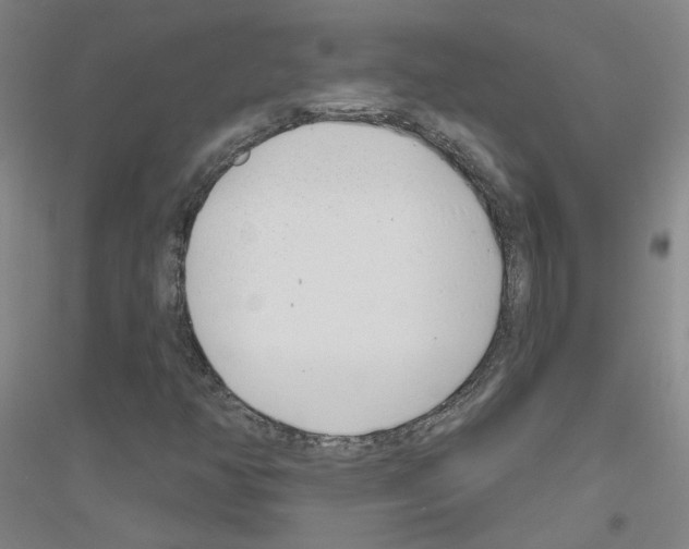 X0000116811350201001291552