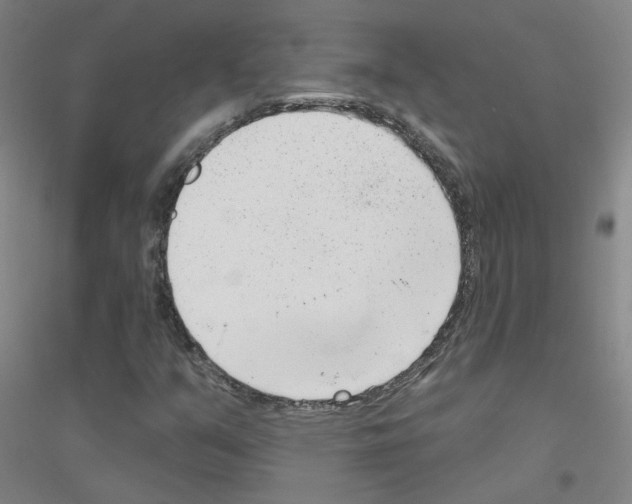 X0000116811351201001291552