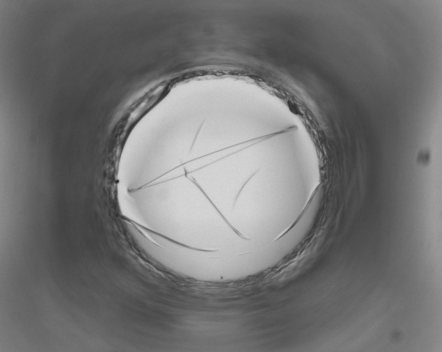 X0000116811352201001291552