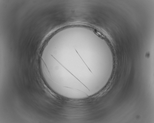 X0000116811356201001291552