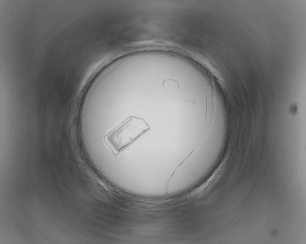 X0000116811357201001291552