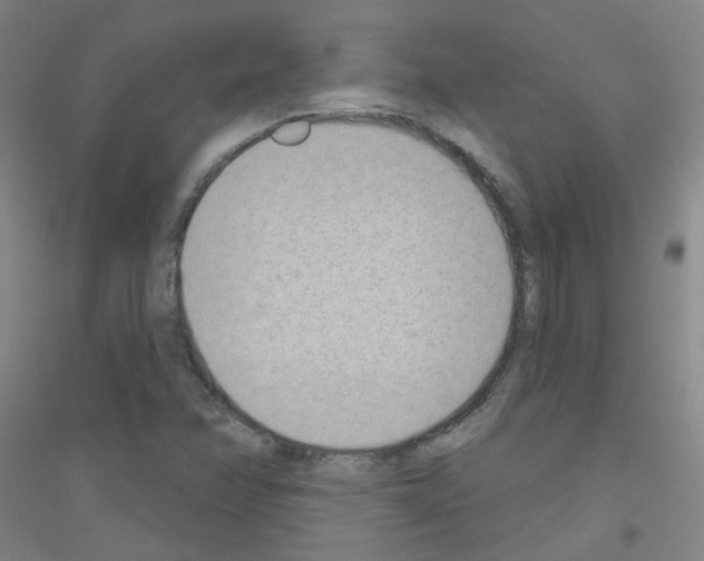 X0000116811358201001291552
