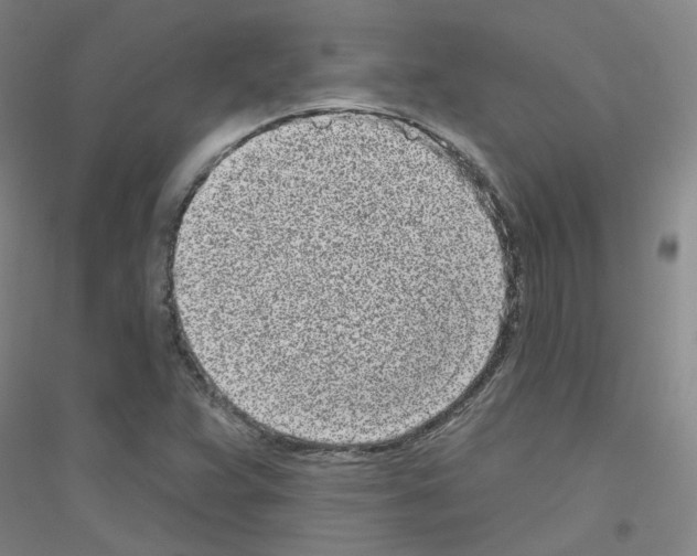 X0000116811359201001291552