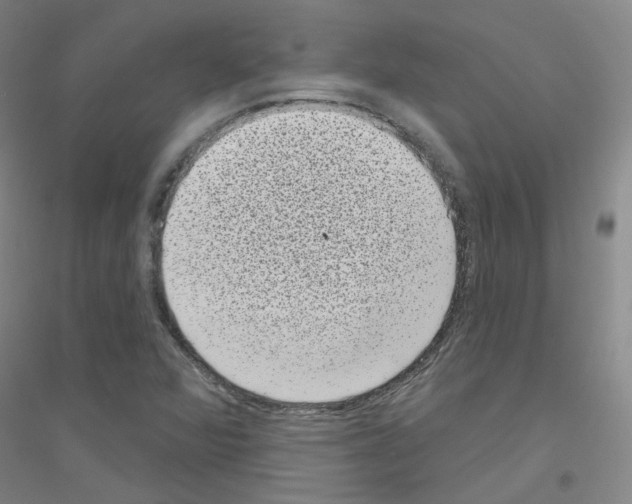 X0000116811360201001291552