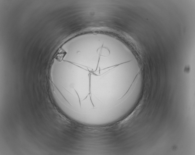 X0000116811361201001291552