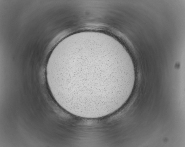 X0000116811362201001291552