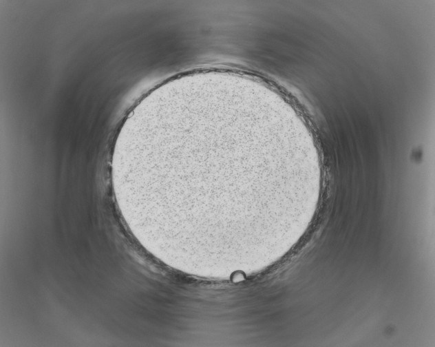 X0000116811363201001291552