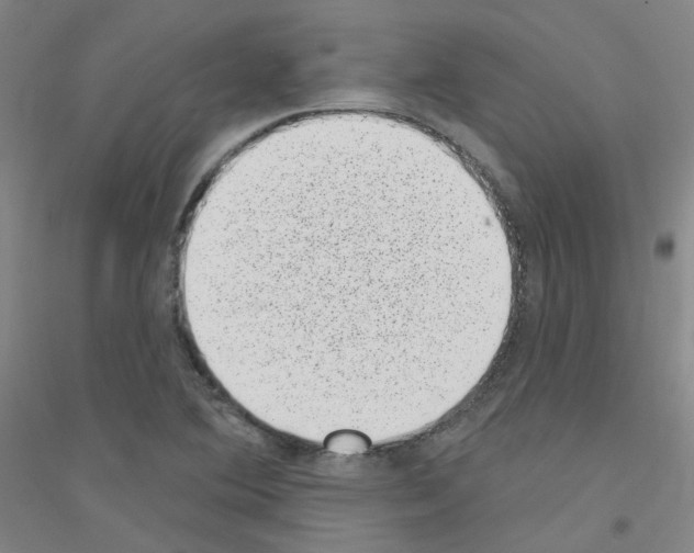 X0000116811364201001291552
