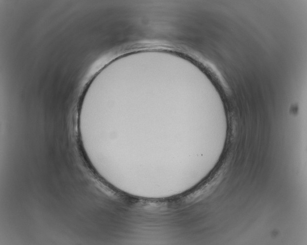 X0000116811365201001291552
