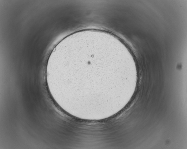 X0000116811367201001291552