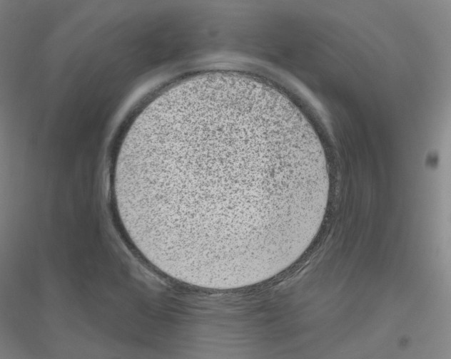 X0000116811368201001291552