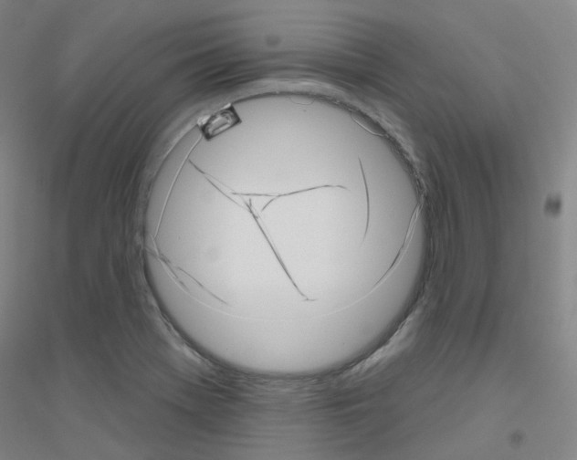X0000116811369201001291552