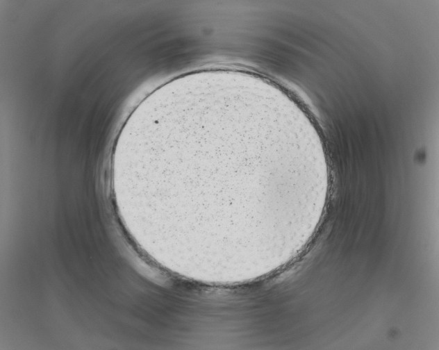X0000116811371201001291552