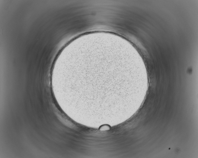 X0000116811372201001291552