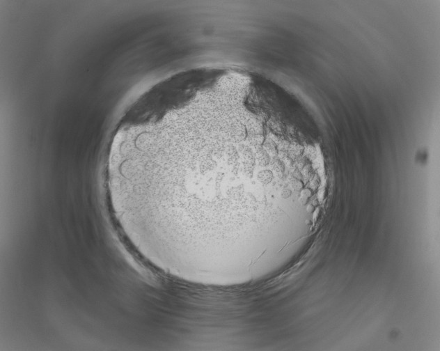 X0000116811375201001291552