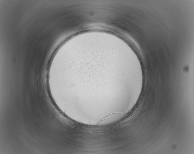 X0000116811376201001291552