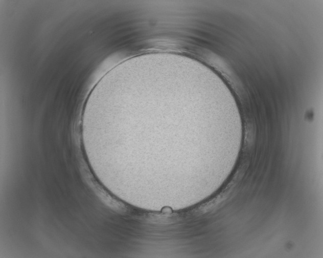 X0000116811378201001291552