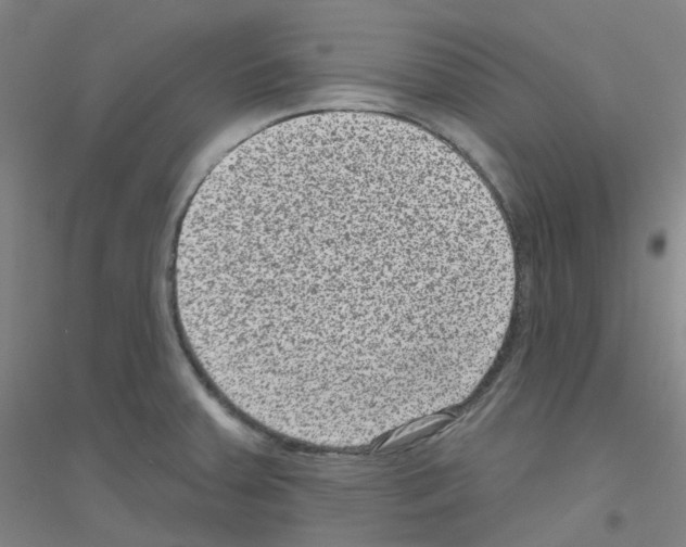 X0000116811379201001291552