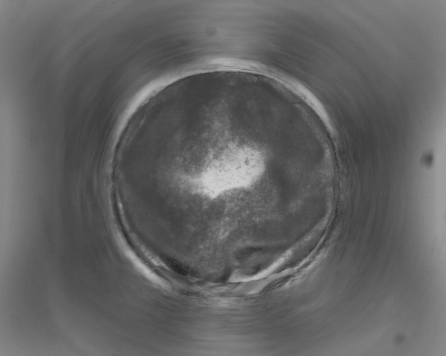 X0000116811381201001291552