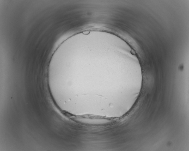 X0000116811382201001291552