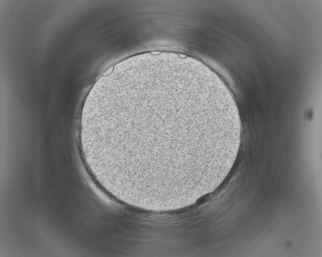 X0000116811383201001291552