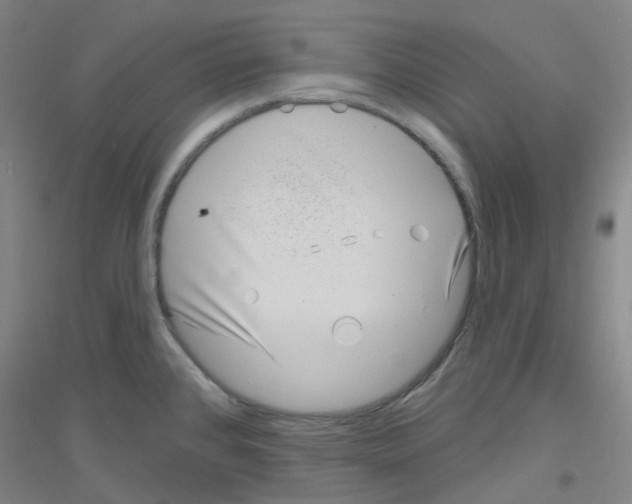 X0000116811384201001291552