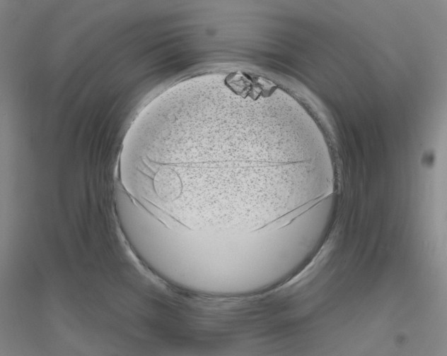 X0000116811385201001291552