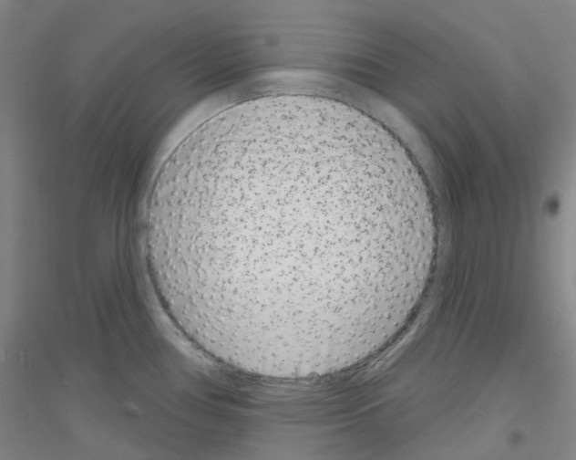 X0000116811386201001291552