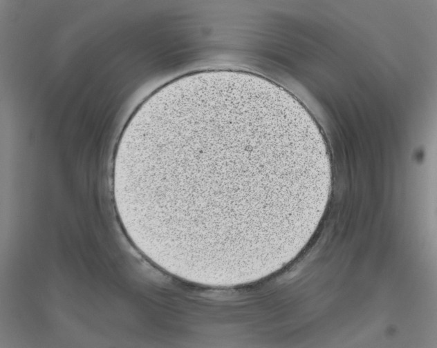 X0000116811388201001291552