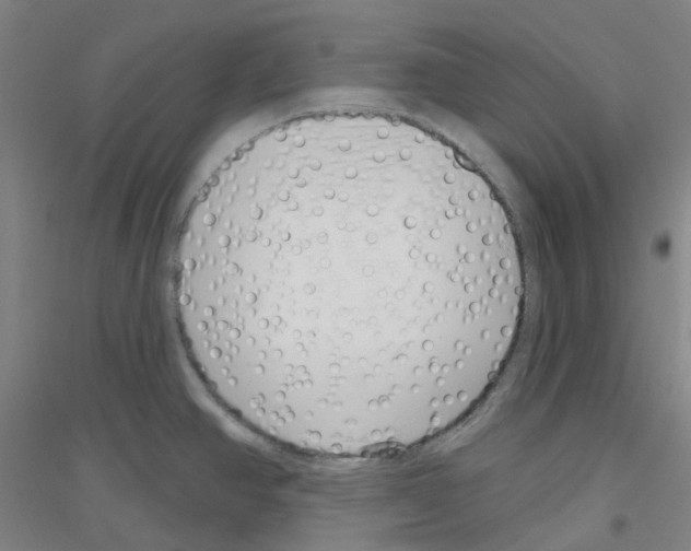 X0000116811390201001291552