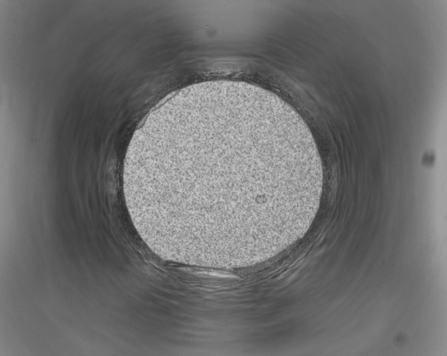 X0000116811394201001291551