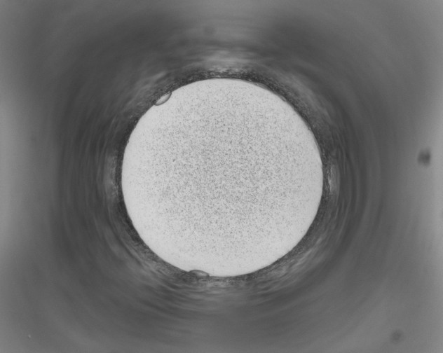 X0000116811396201001291551
