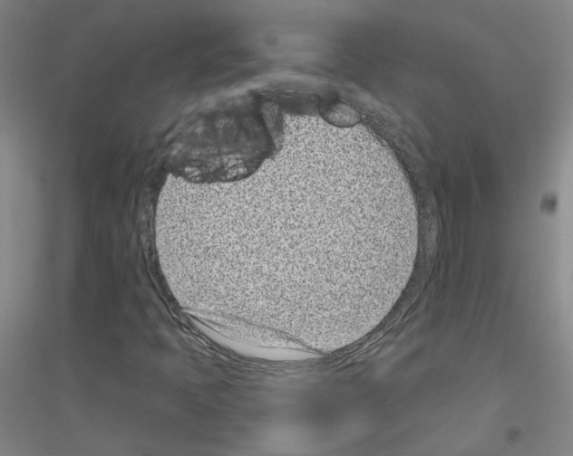 X0000116811397201001291551