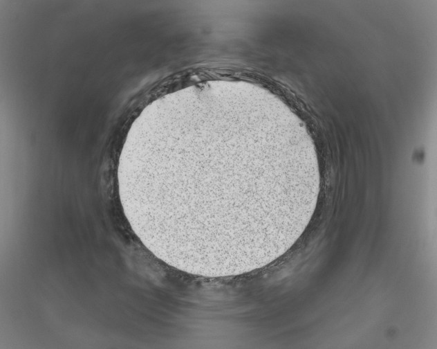 X0000116811398201001291551