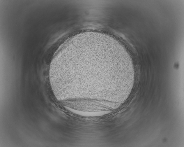 X0000116811399201001291551