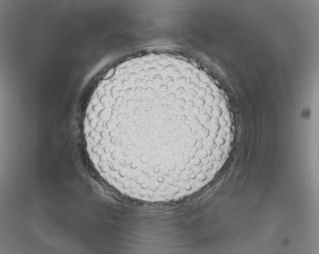 X0000116811400201001291551