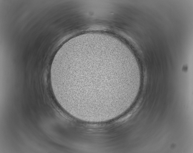X0000116811401201001291551