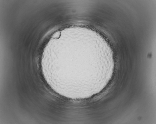 X0000116811402201001291551
