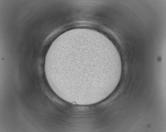 X0000116811403201001291551