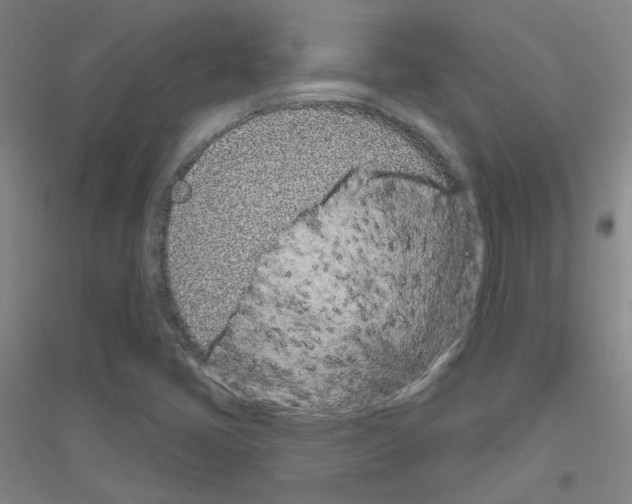 X0000116811405201001291551