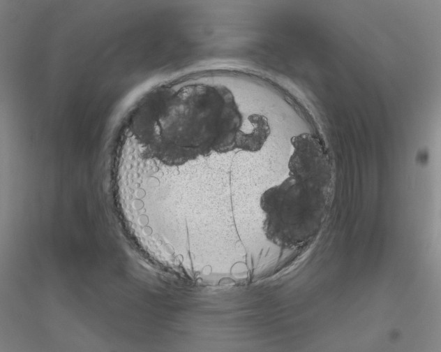 X0000116811406201001291551