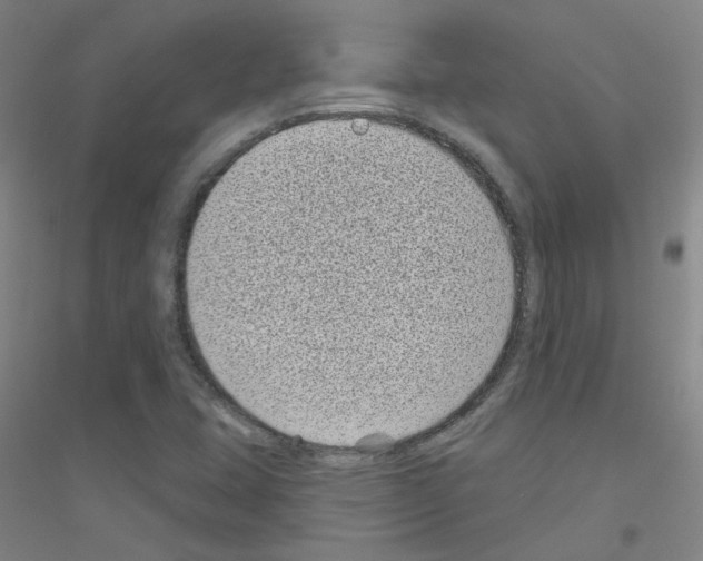 X0000116811407201001291551