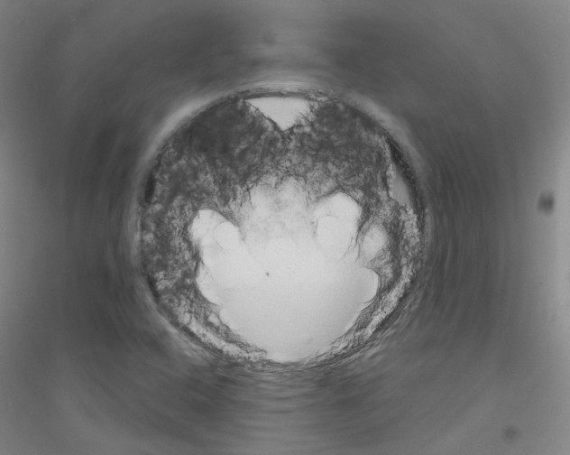 X0000116811408201001291551