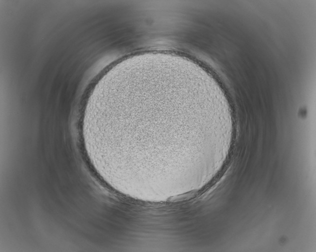 X0000116811410201001291551
