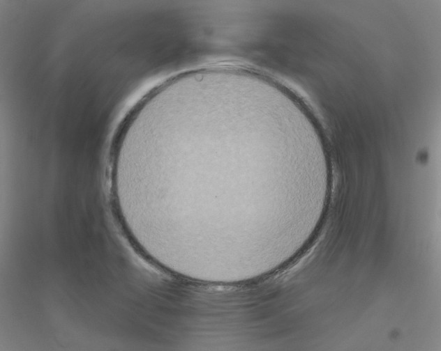 X0000116811414201001291552