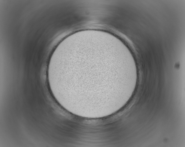 X0000116811415201001291552